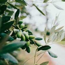 Charger l'image dans la galerie, Savon de Marseille liquide en verre Olive - Édition limitée 2024-2025