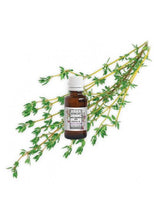 Charger l'image dans la galerie, Huile essentielle BIO Thym à linalol de Provence