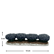 Charger l&#39;image dans la galerie, Rangée de lavande
